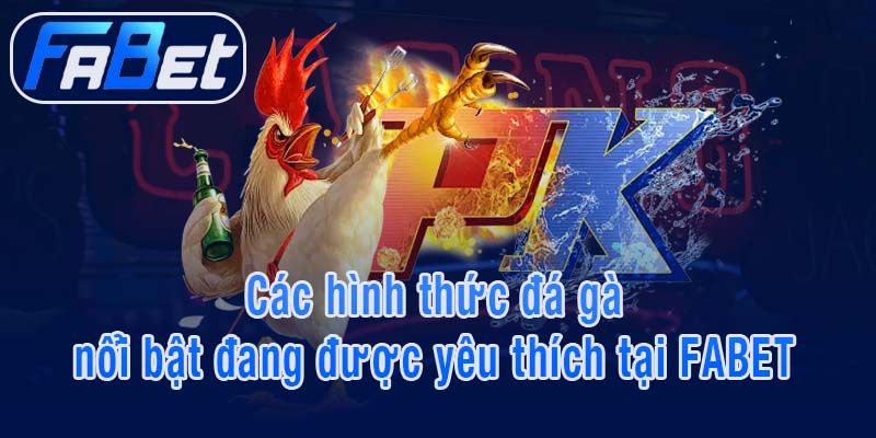 Các hình thức đá gà nổi bật đang được yêu thích tại FABET