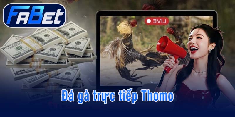 Đá gà trực tiếp Thomo