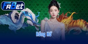 Rồng Hổ